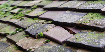 Rhyd Wyn roof repair costs